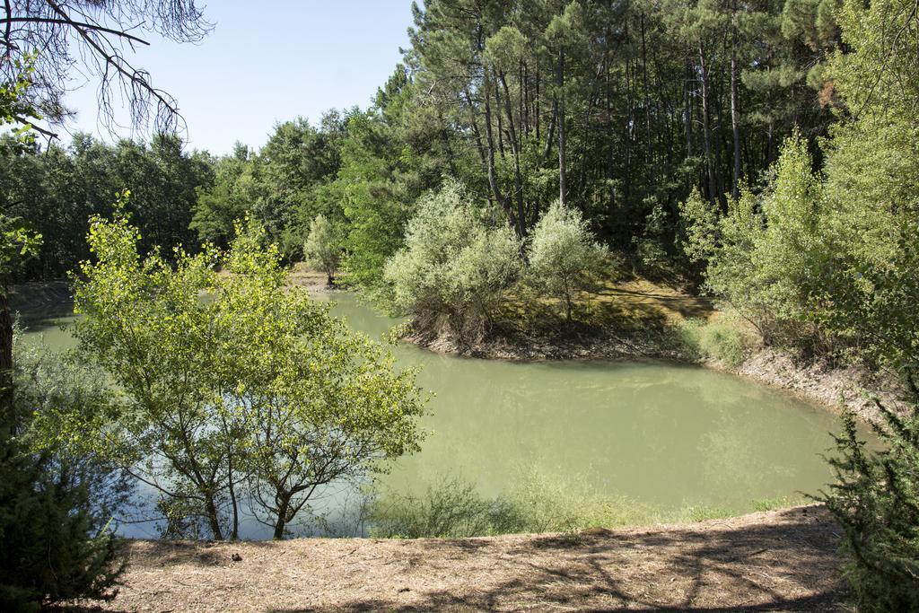 הוילה צ'יביטלה אין ואל די קיאנה La Casa Nel Bosco מראה חיצוני תמונה